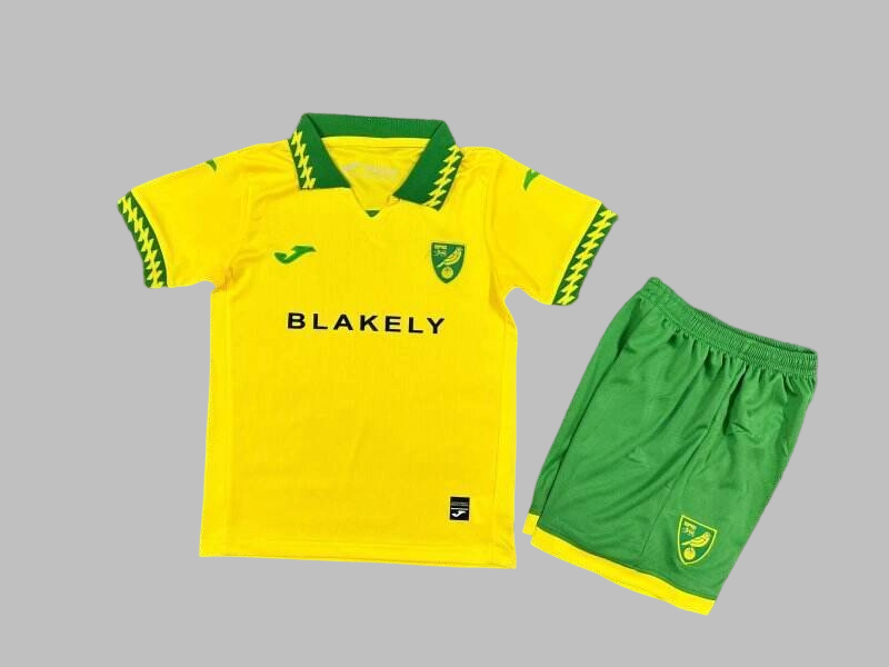 25-26 Norwich City Home Kids Cheap Soccer Jerseys Yupoo