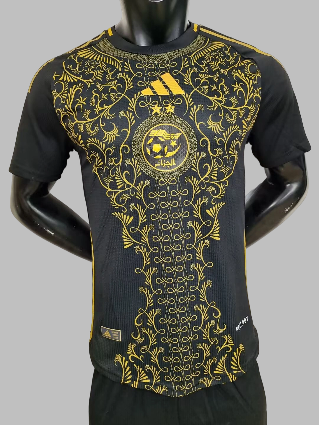 25-26 Algeria Special Soccer Jerseys- Player Version