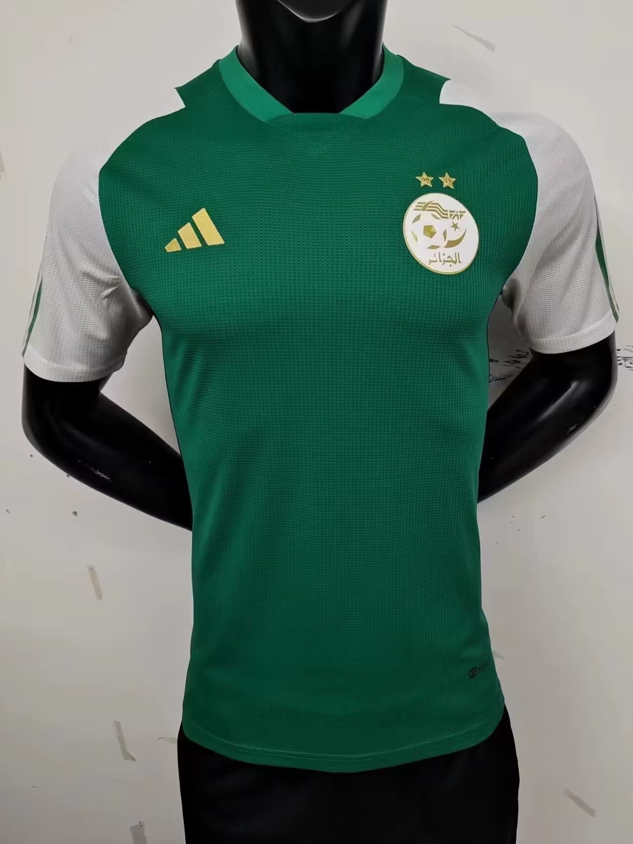 23-24 Algeria Player Version Soccer Jerseys Yupoo
