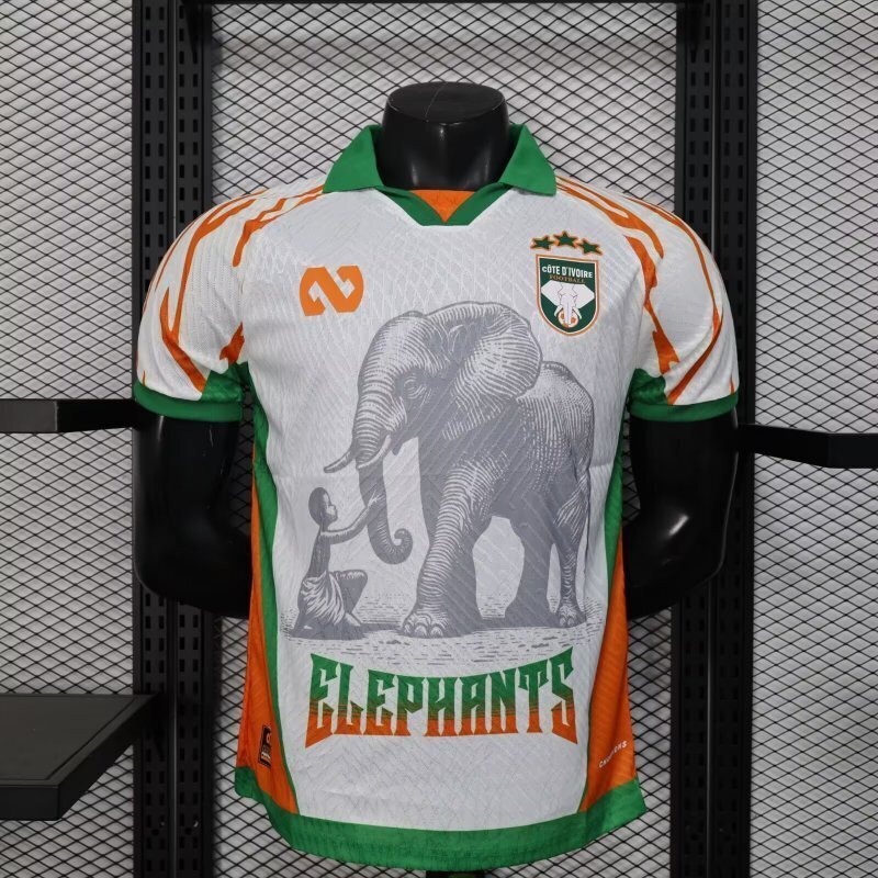 25-26 Ivory Coast Player Version Cheap Soccer Jerseys Yupoo