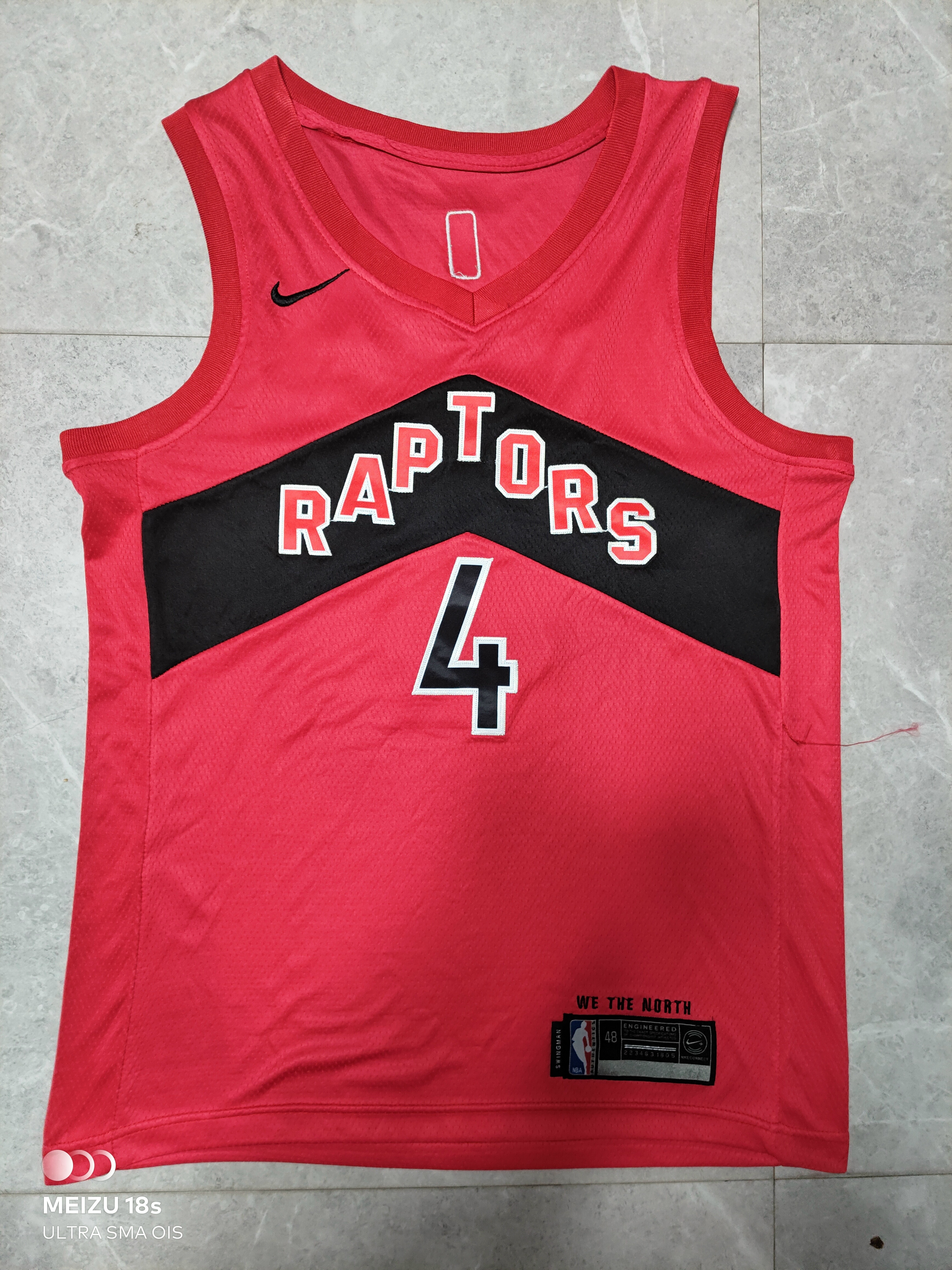 Raptors #4 Embroidery