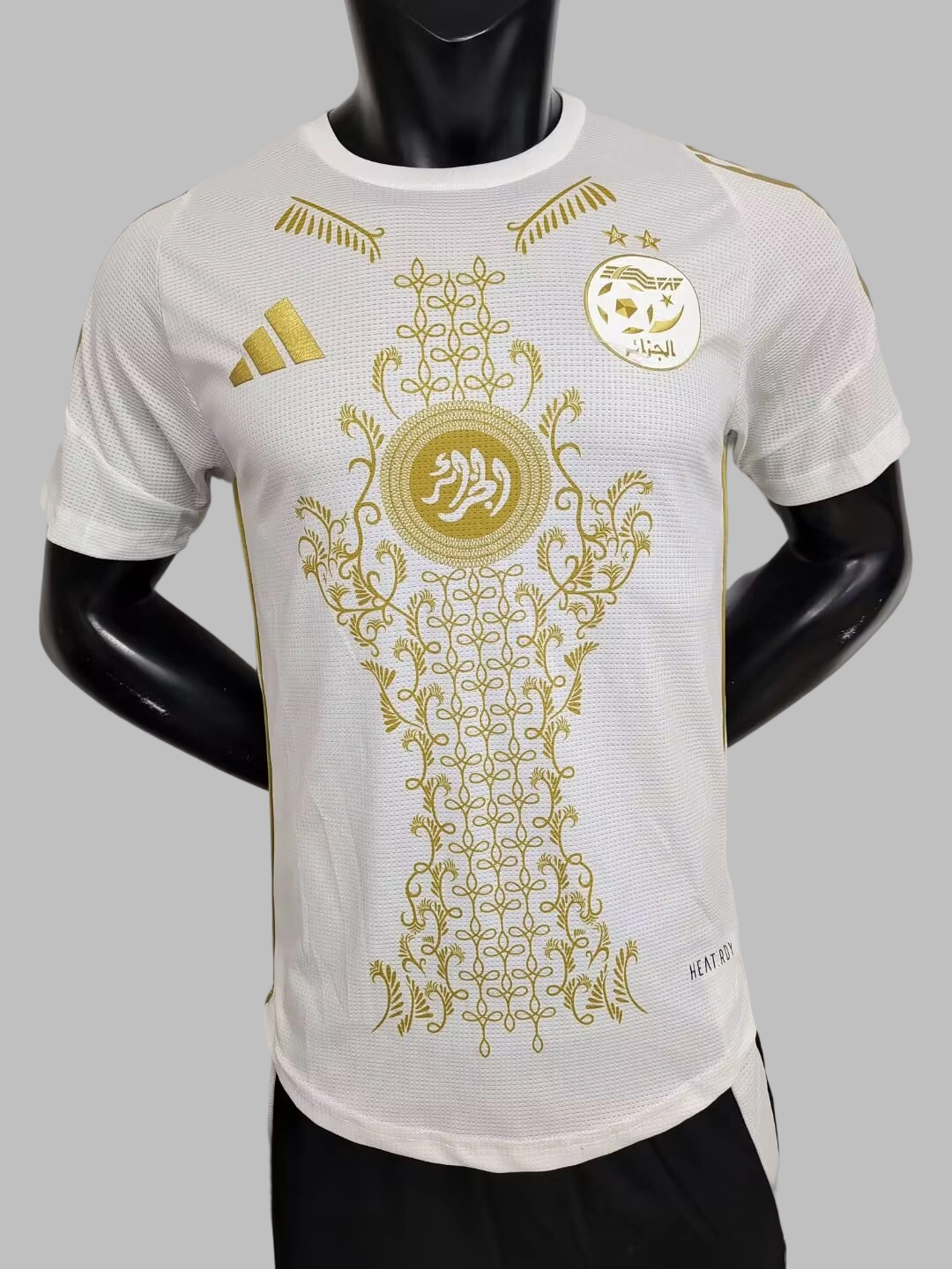 25-26 Algeria Special Soccer Jerseys- Player Version