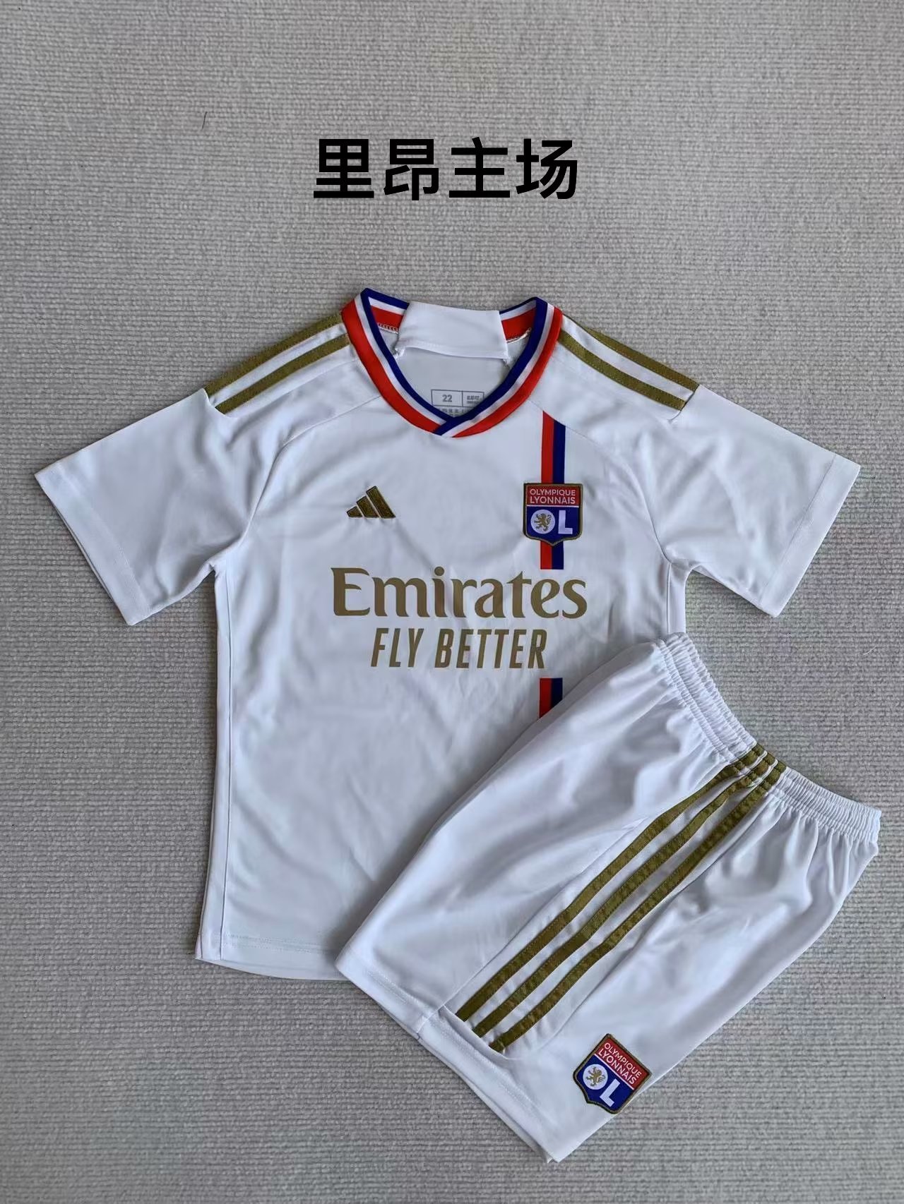 23-24 Lyon Home Kids Soccer Jerseys Yupoo