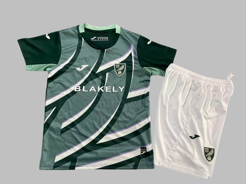 25-26 Norwich City Away Kids Cheap Soccer Jerseys Yupoo