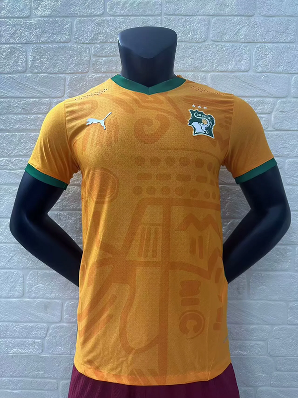 2024 Ivory Coast Home Player Version Soccer Jerseys Yupoo