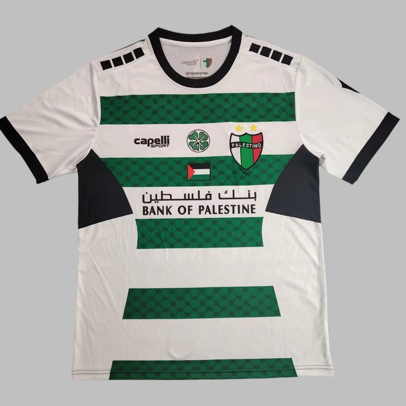 25-26 Palestine Special Cheap Soccer Jerseys Yupoo