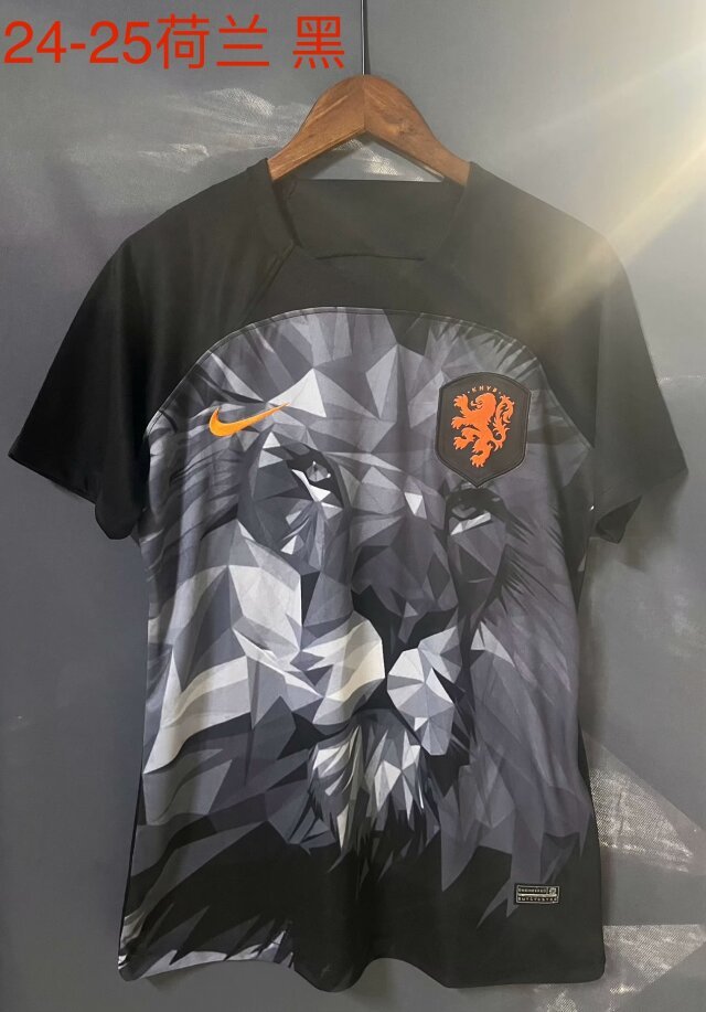 2024 Netherlands Training Soccer Jerseys Yupoo