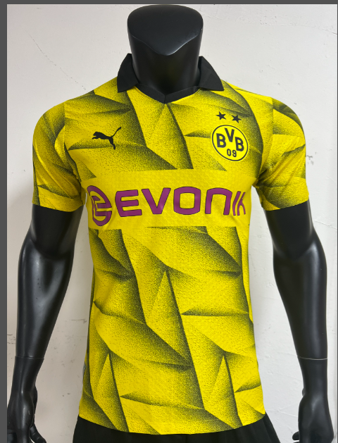 23-24 Dortmund Special Player Version Soccer Jerseys Yupoo