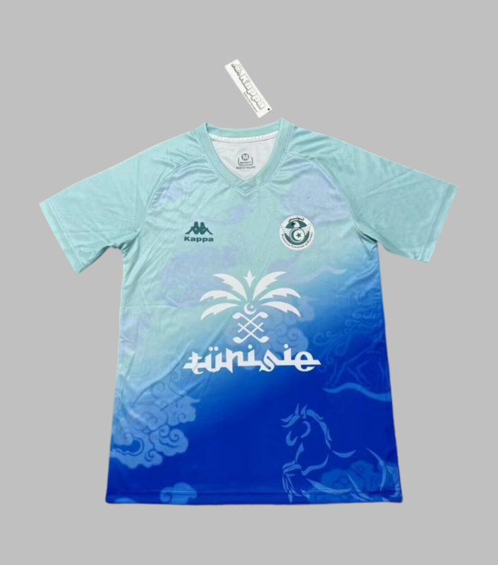 25-26 Tunisia Training Cheap Soccer Jerseys Yupoo