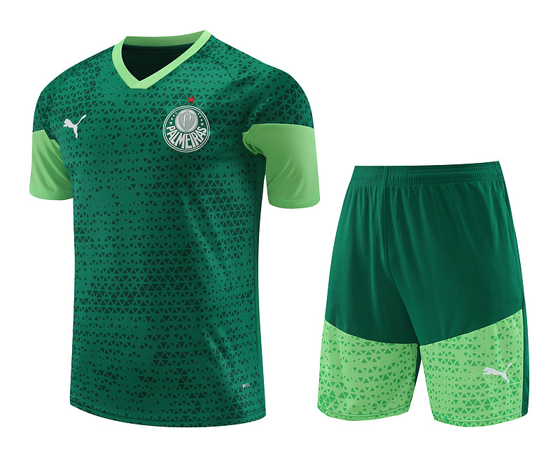 24-25 Palmeiras Training Soccer Jerseys Yupoo