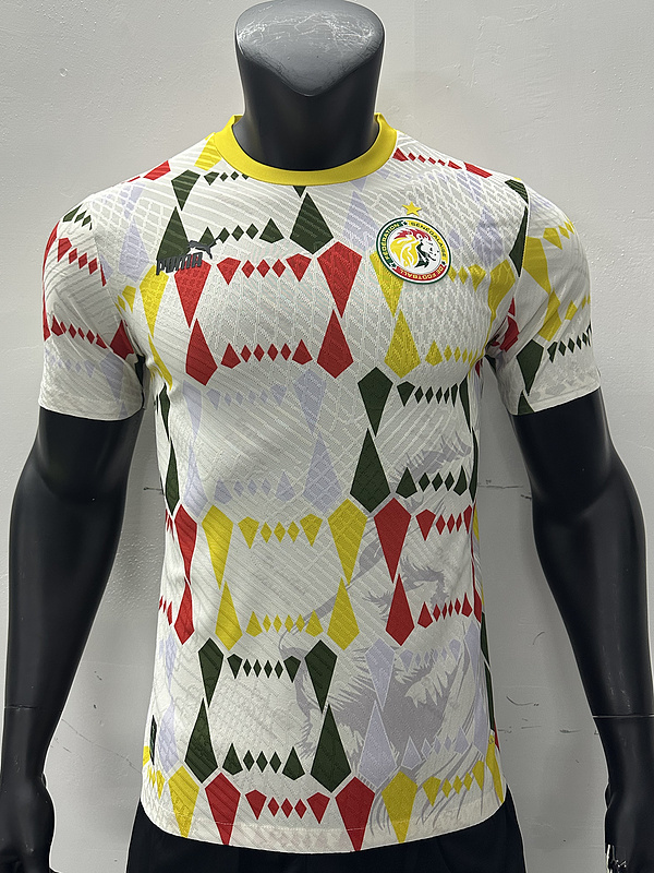 2024 Senegal Training Player Version Soccer Jerseys Yupoo