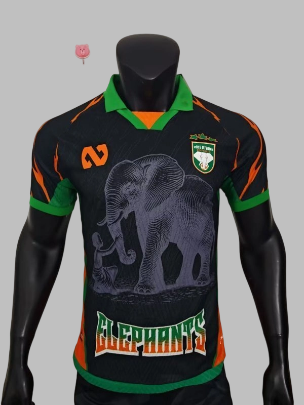 25-26 Ivory Coast Player Version Cheap Soccer Jerseys Yupoo