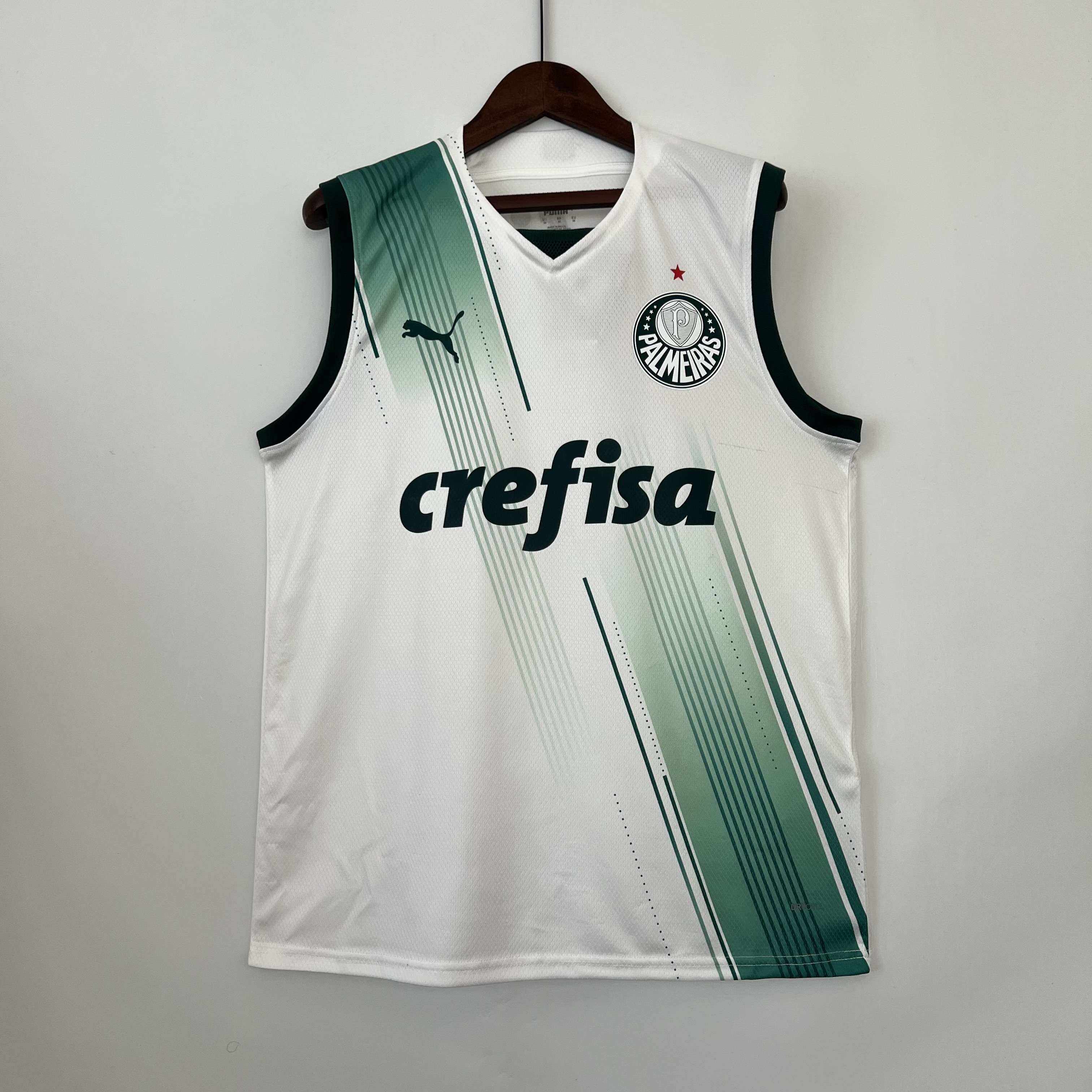 23-24 Palmeiras Soccer Vest Yupoo