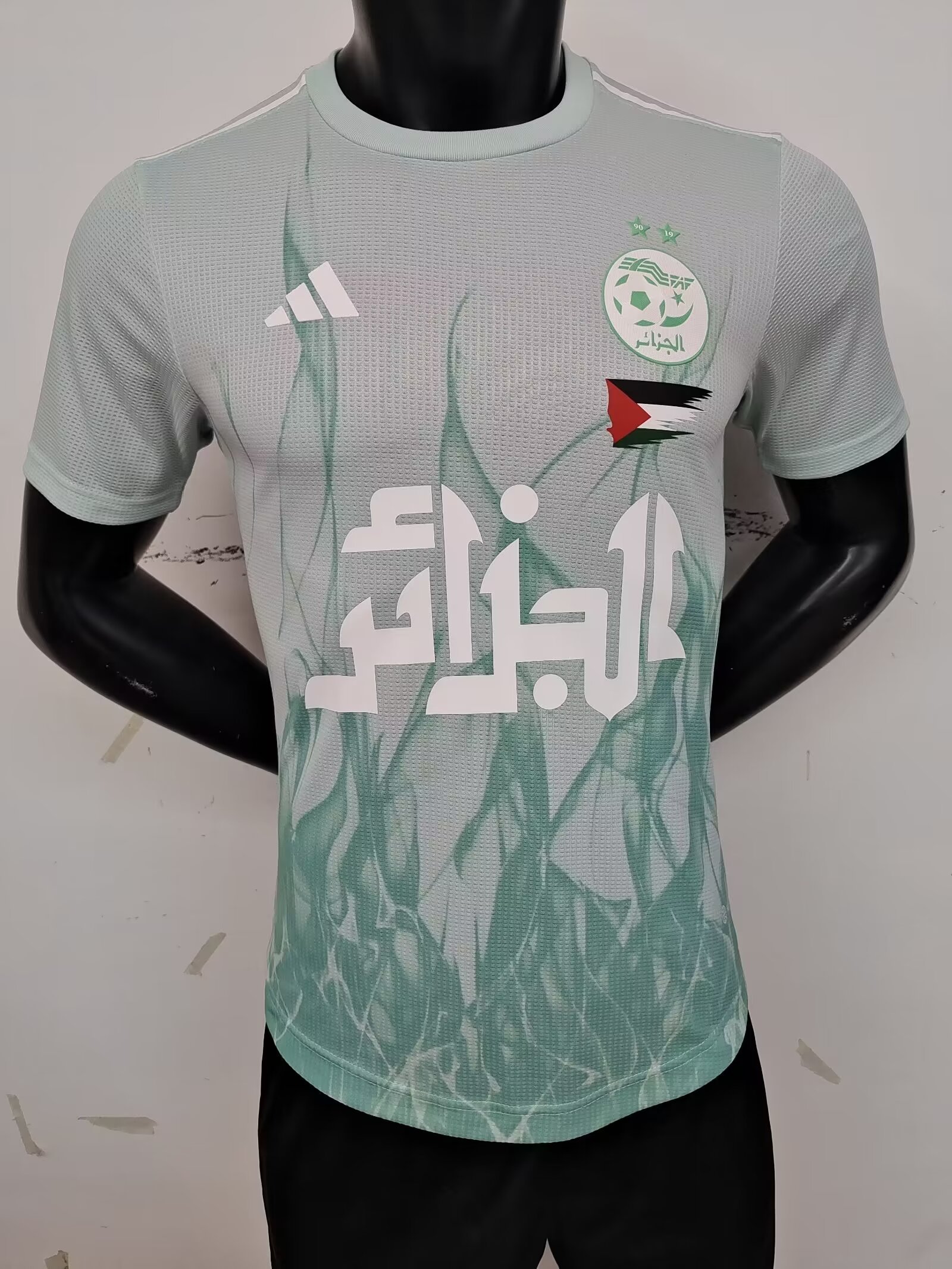 23-24 Algeria Player Version Soccer Jerseys Yupoo