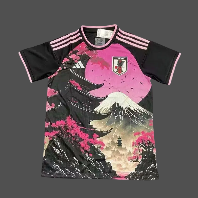 25-26 Japan Cheap Soccer Jerseys Yupoo