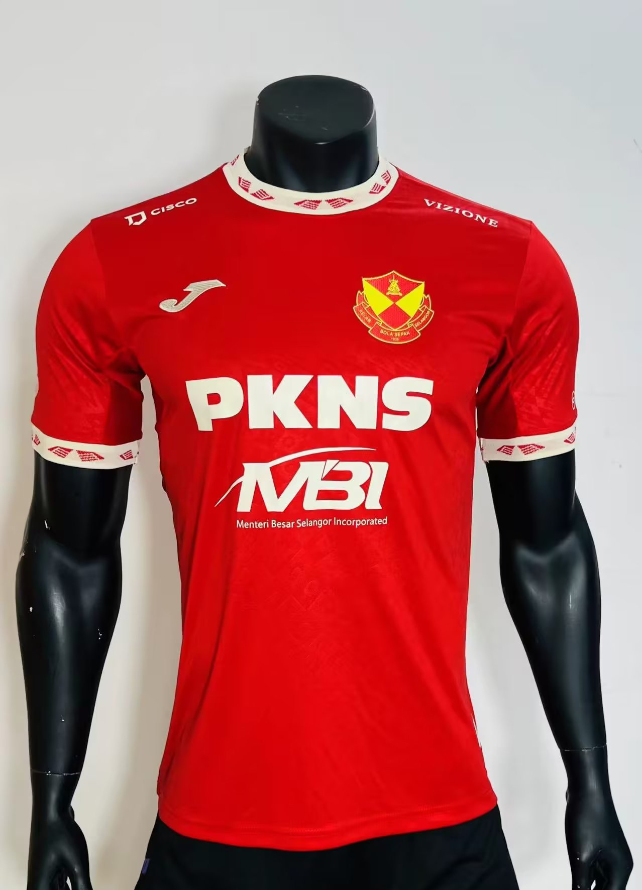 23-24 Selangor Home Player Version Soccer Jerseys Yupoo