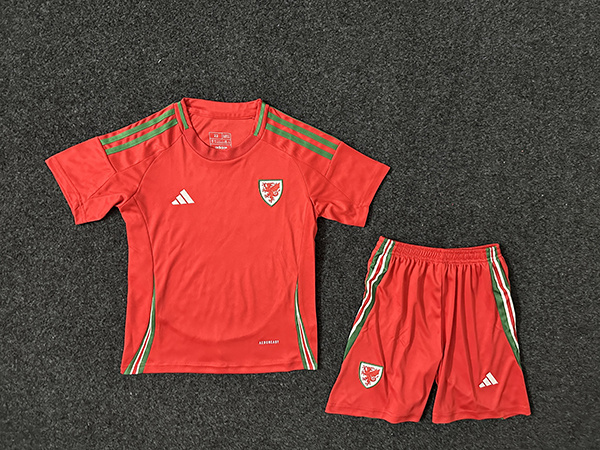 2024 Wales Home Kids Soccer Jerseys Yupoo