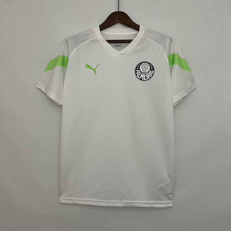 23-24 Palmeiras Training Soccer Jerseys Yupoo