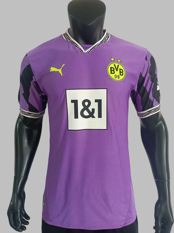 25-26 Dortmund Player Version Cheap Soccer Jerseys Yupoo