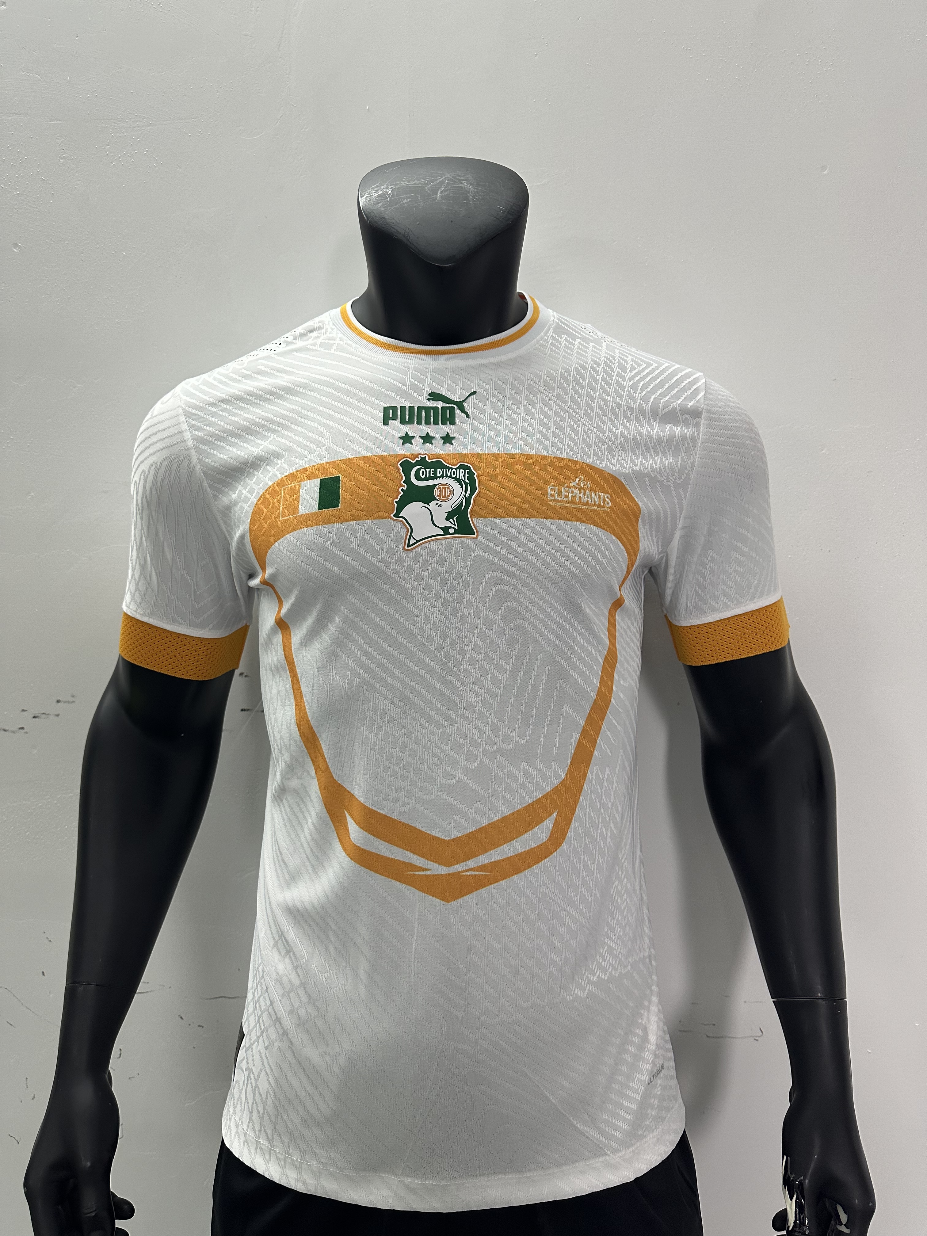 2023 Cote d'Ivoire Training Player Version Soccer Jerseys Yupoo