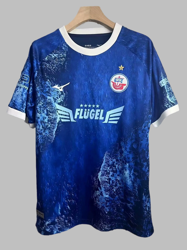 25-26 Hansa Rostock Special Cheap Soccer Jerseys Yupoo