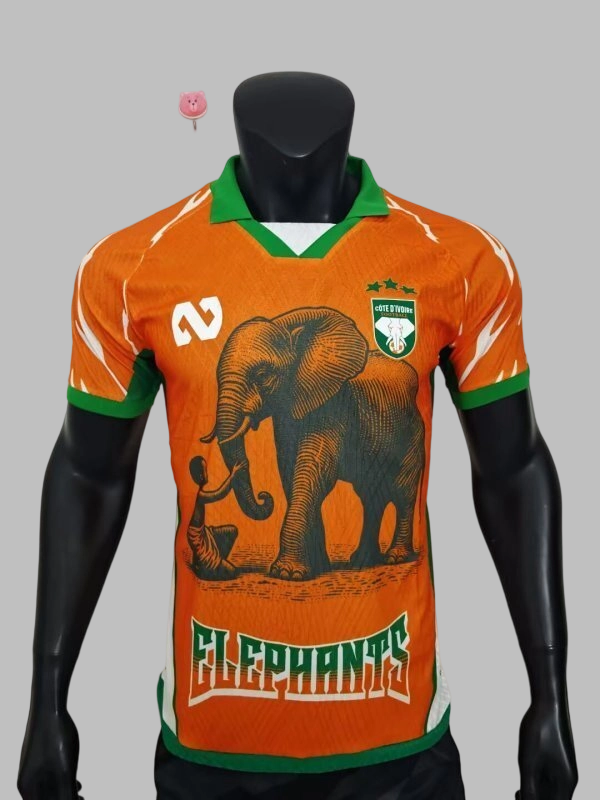 25-26 Ivory Coast Player Version Cheap Soccer Jerseys Yupoo