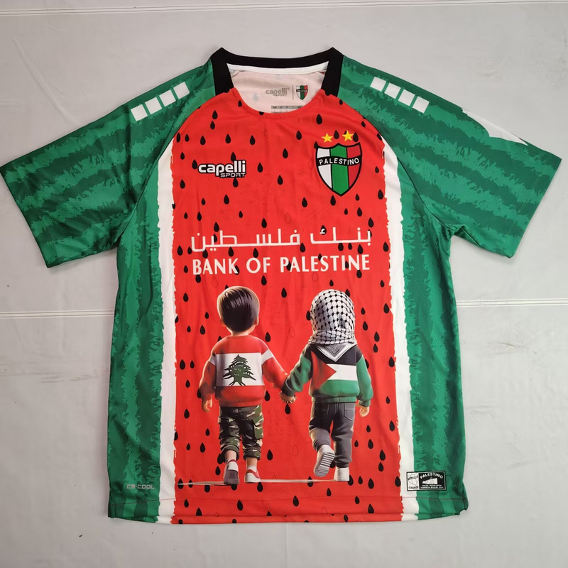 25-26 Palestine Special Cheap Soccer Jerseys Yupoo