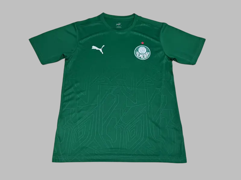 25-26 Palmeiras Training Cheap Soccer Jerseys Yupoo