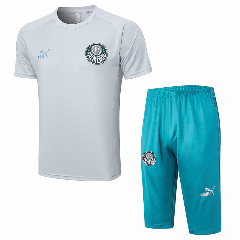 23-24 Palmeiras Short Sleeve Training Suit Yupoo