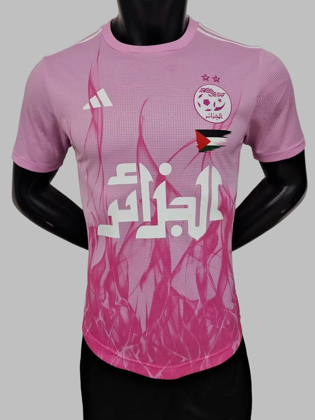 24-25 Algeria Special Soccer Jerseys- Player Version