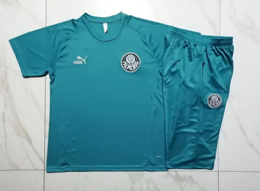 23-24 Palmeiras Short Sleeve Training Suit Yupoo