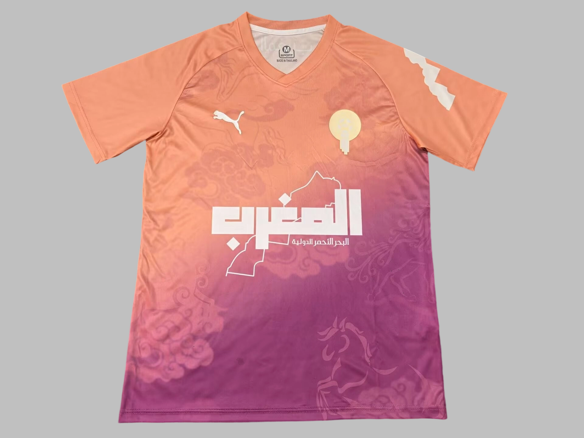 25-26 Morocco Special Jersey