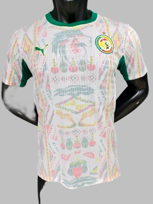 Senegal Home Player Version Cheap Soccer Jerseys Yupoo