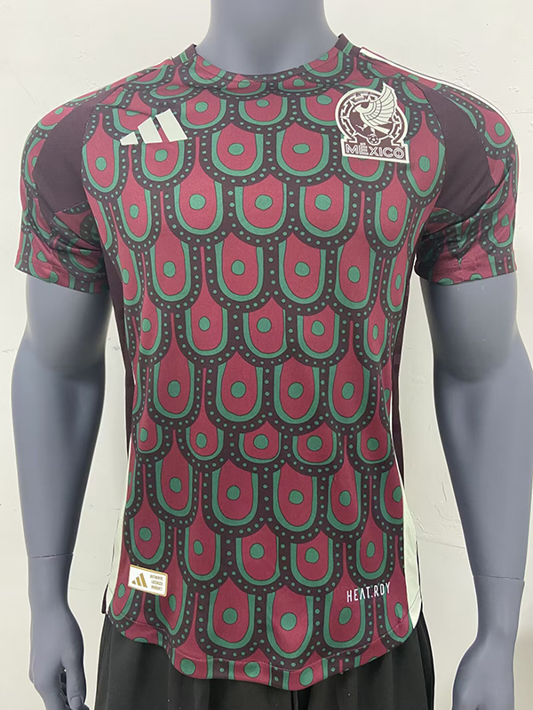 2024 Mexico Home Player Version Soccer Jerseys Yupoo
