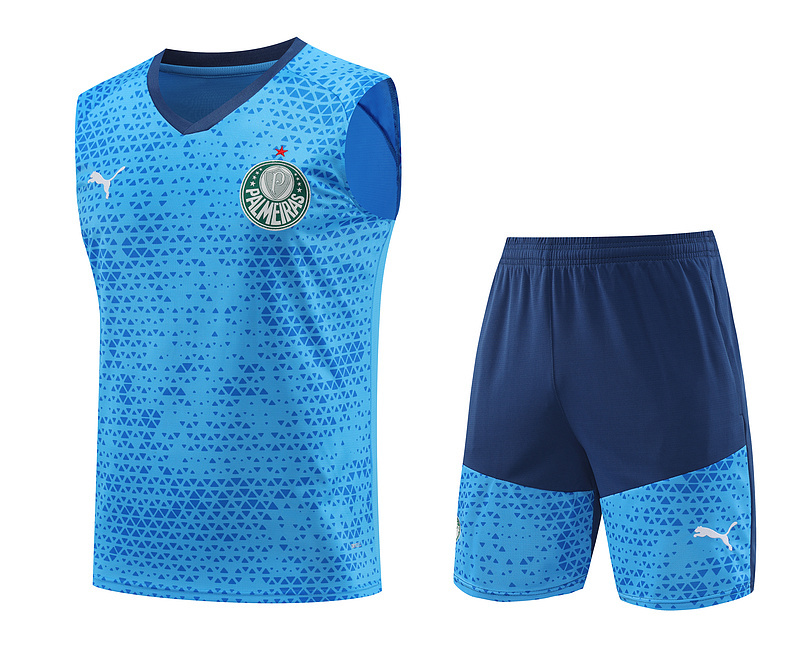 24-25 Palmeiras Soccer Vest Yupoo