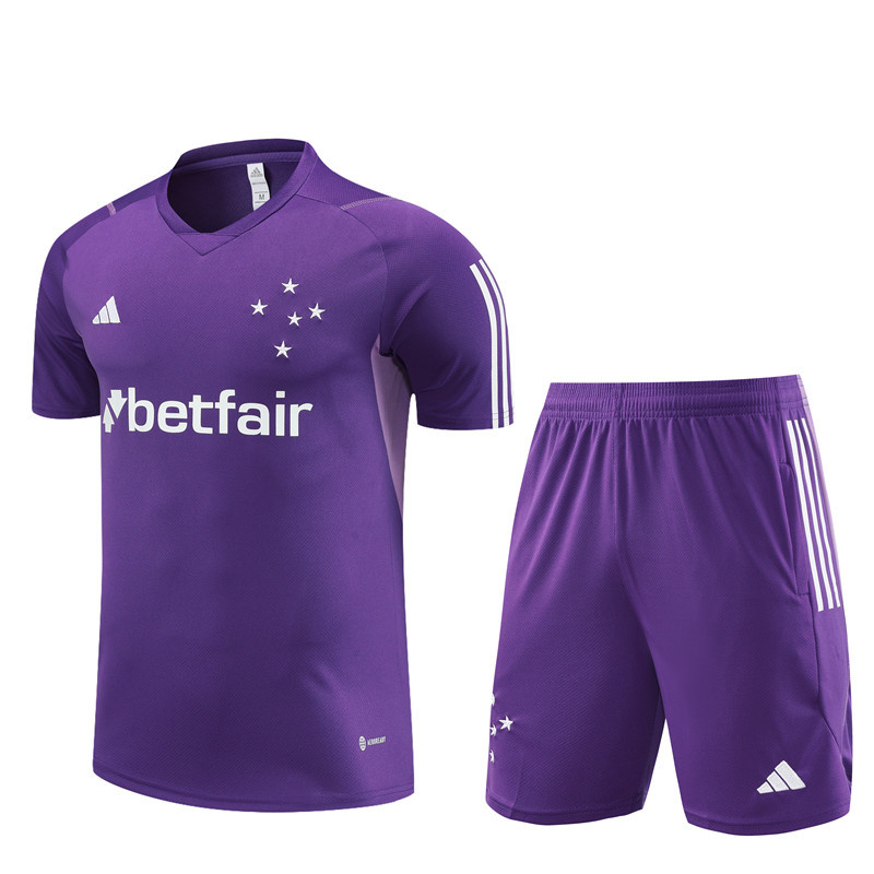 23-24 Cruzeiro Training Soccer Jerseys Yupoo