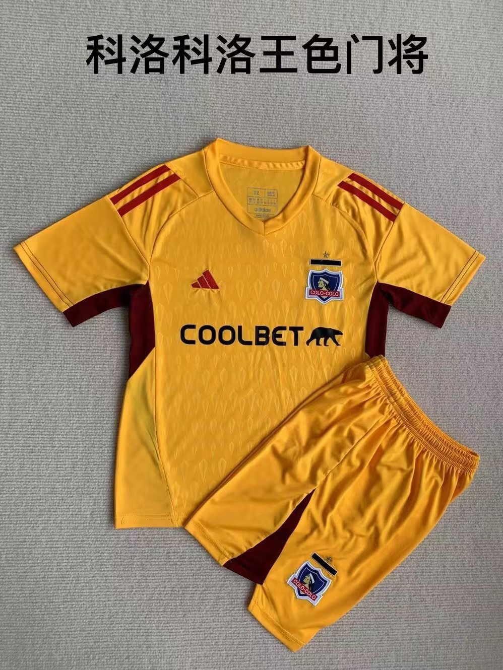 23-24 Colo Colo Goalkeeper Adults And Kids Soccer Jerseys Yupoo
