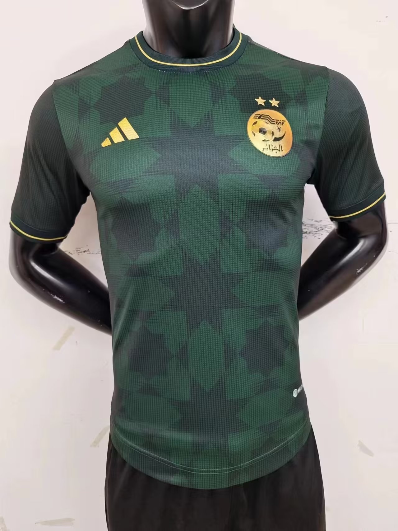 23-24 Algeria Player Version Soccer Jerseys Yupoo
