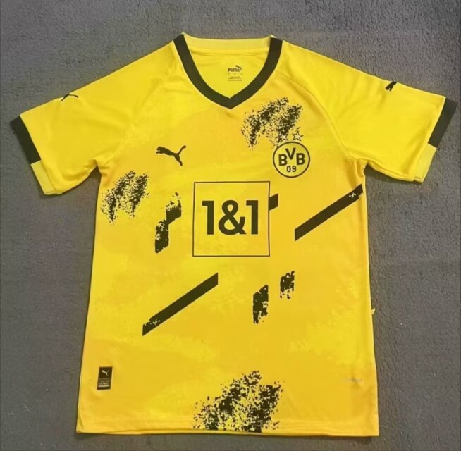 24-25 Dortmund Training Soccer Jerseys Yupoo