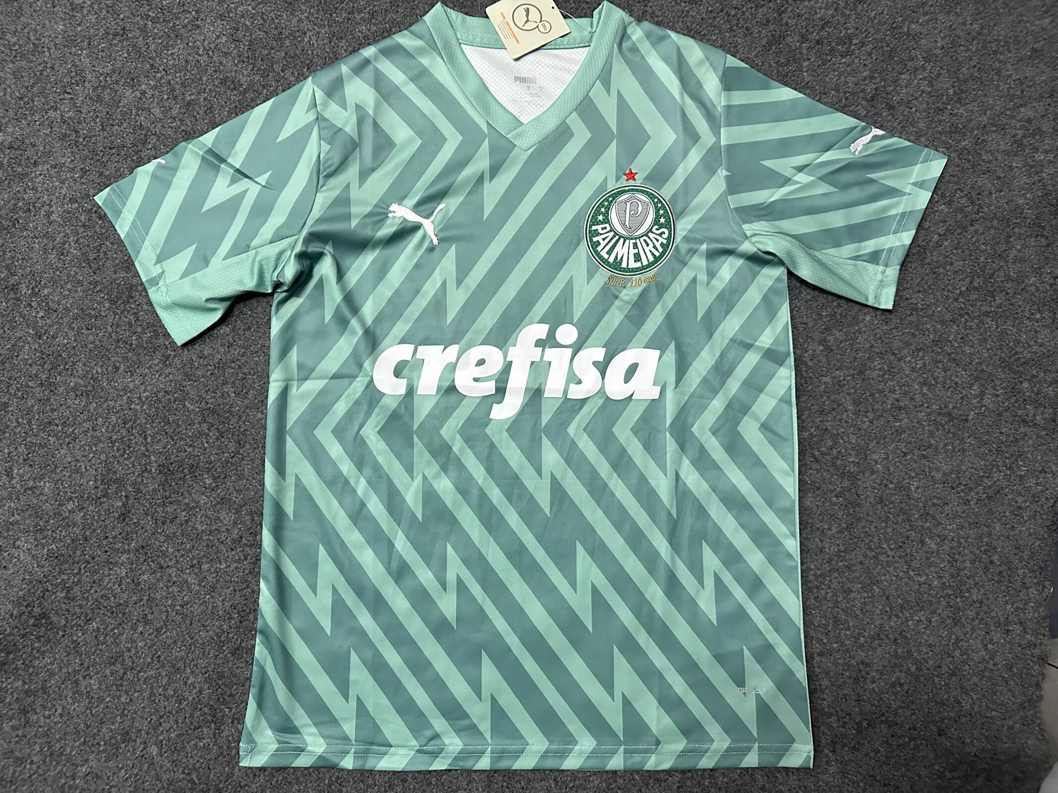 24-25 Palmeiras Goalkeeper Soccer Jerseys Yupoo
