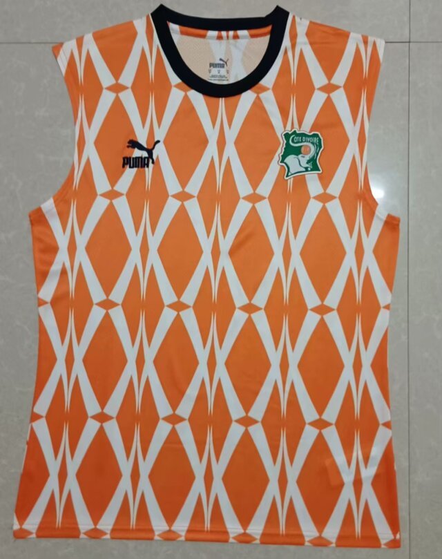 2023 Ivory Coast Vest Yupoo