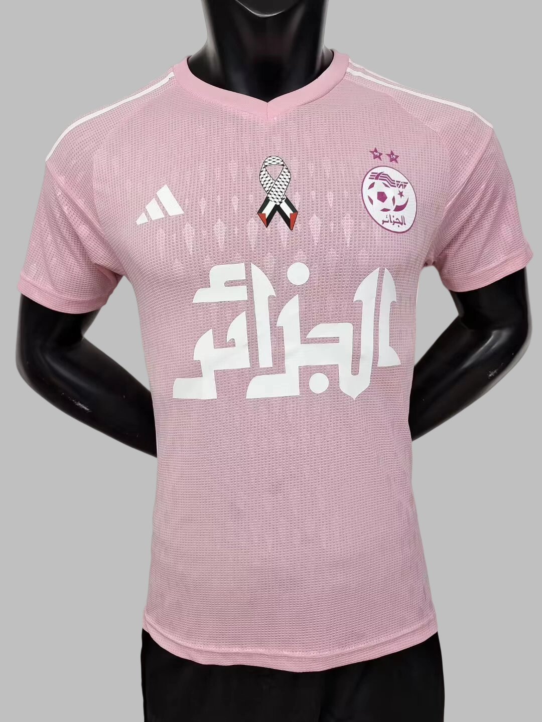 24-25 Algeria Special Soccer Jerseys- Player Version