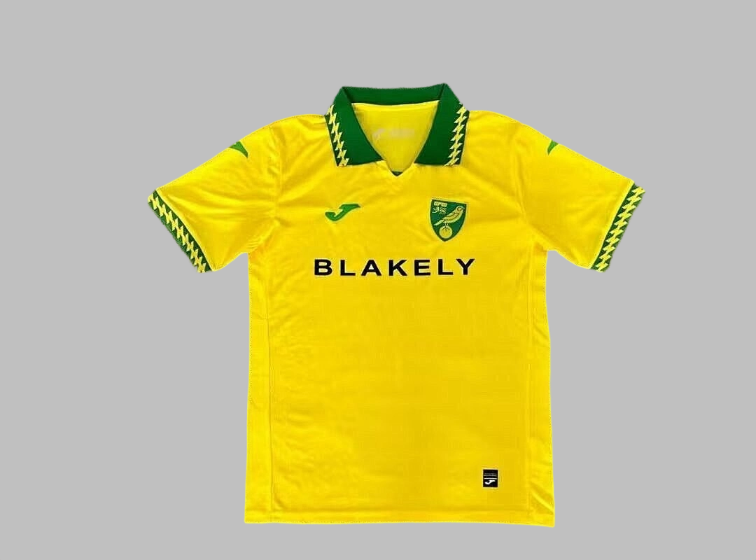 25-26 Norwich City Home Cheap Soccer Jerseys Yupoo