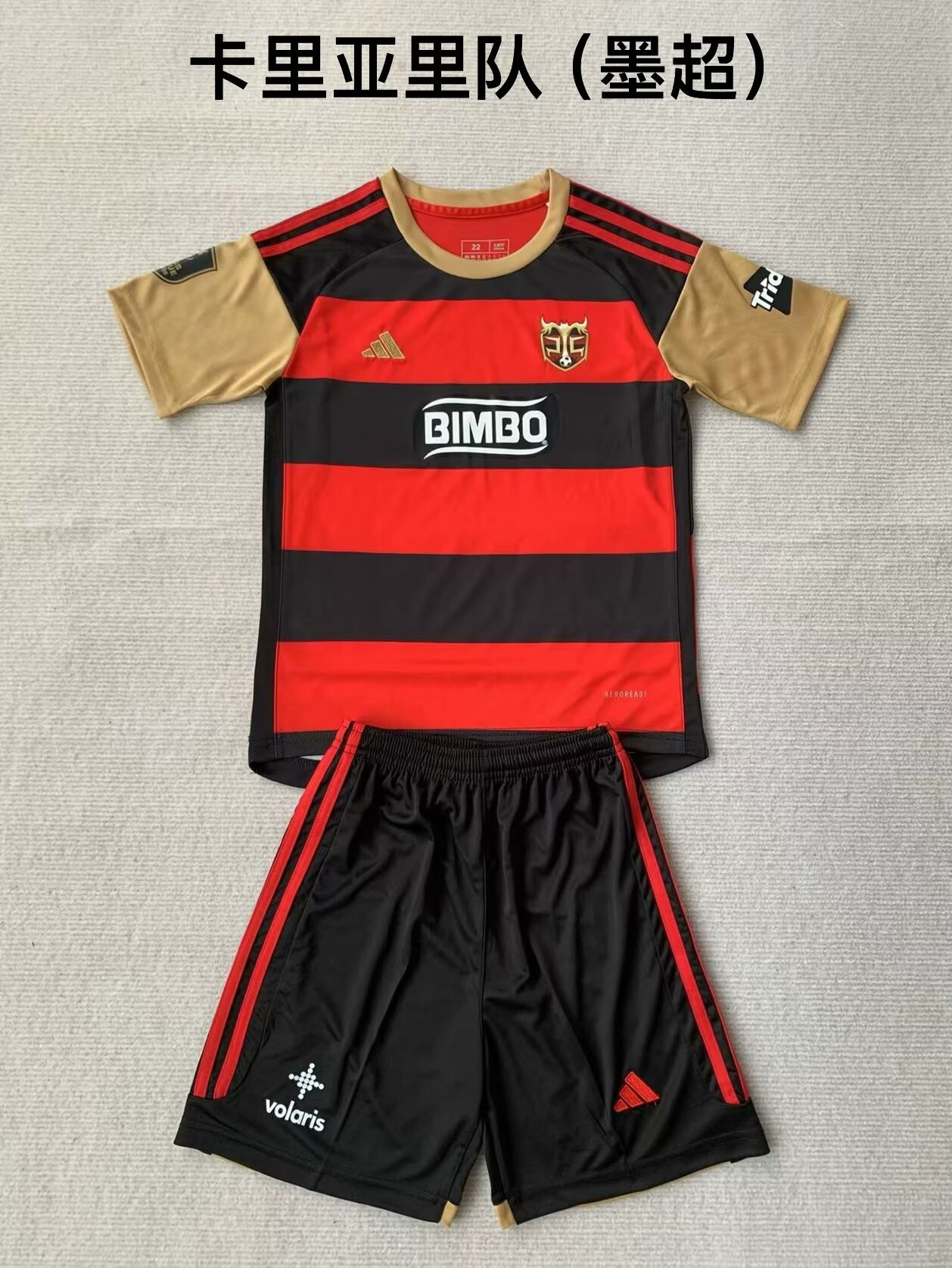 24-25 Cagliari Adults And Kids Soccer Jerseys Yupoo