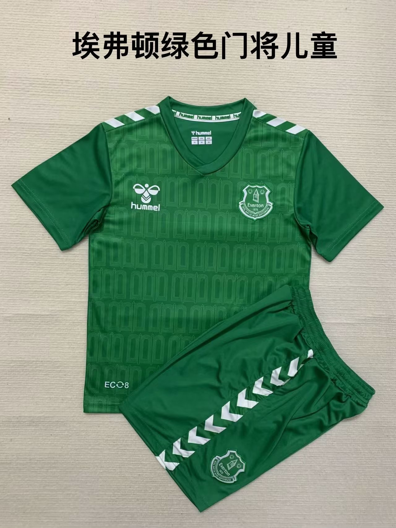 23-24 Everton Goalkeeper Kids Soccer Jerseys Yupoo