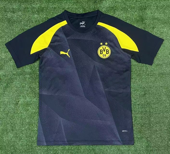 23-24 Dortmund Training Soccer Jerseys Yupoo
