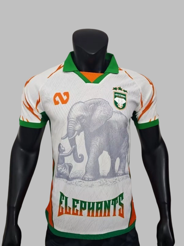 25-26 Ivory Coast Player Version Cheap Soccer Jerseys Yupoo