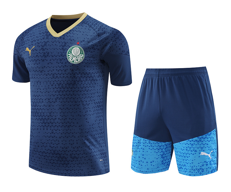 24-25 Palmeiras Training Soccer Jerseys Yupoo