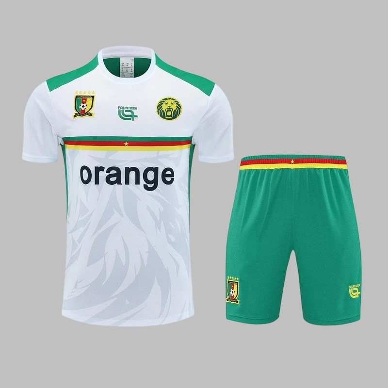 25-26 Cameroon Training Soccer Suit Yupoo