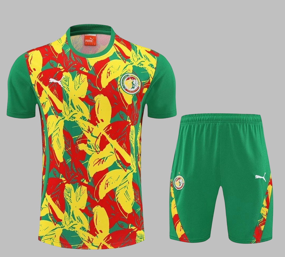 25-26 Senegal Training Soccer Suit Yupoo
